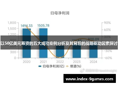 以50亿美元筹资的五大成功案例分析及其背后的战略驱动因素探讨