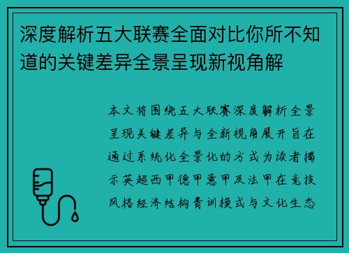 深度解析五大联赛全面对比你所不知道的关键差异全景呈现新视角解